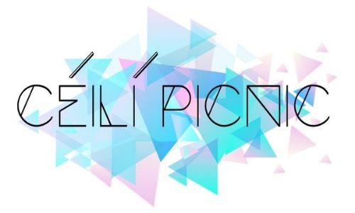 5 Fun Events To Enjoy In Ireland This August Ceili Picnic